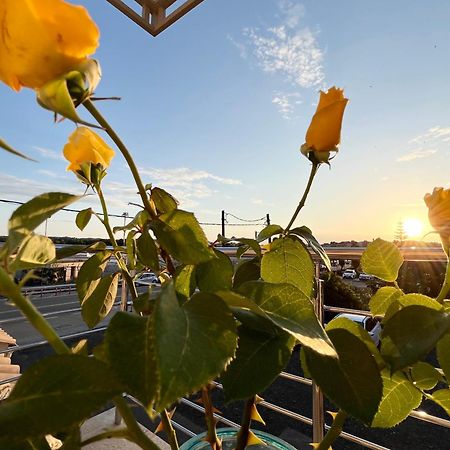 Corfu Airport Sweet Studio ภายนอก รูปภาพ
